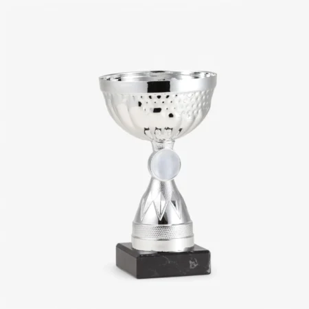 Chrompokal 8011
