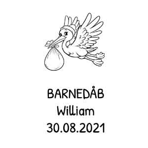 Barnedaab_stork2