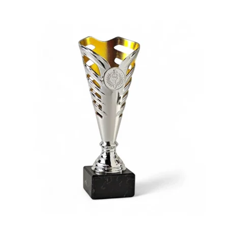 Sølv/guld pokal
